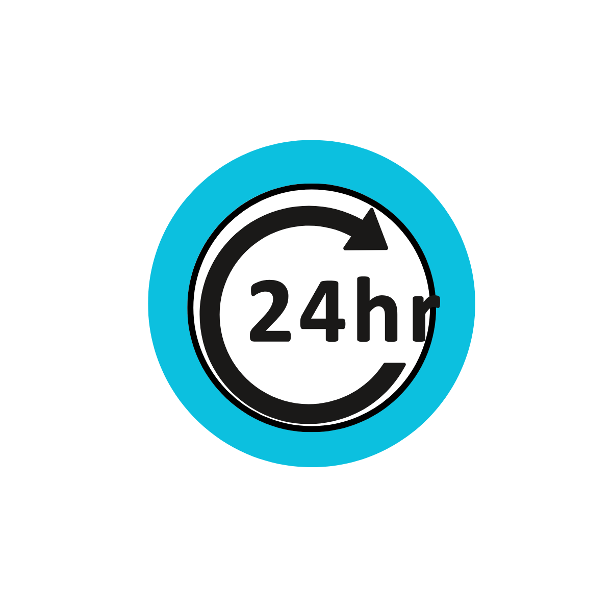 24 horas