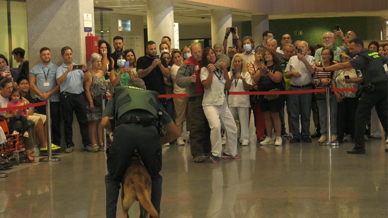 Unidad canina