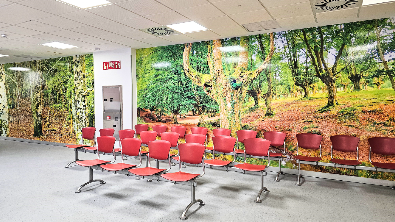 pared de sala de espera decorada entera con vinilo de paisaje de bosque