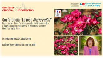 Cartel de la conferencia La rosa María Vallet