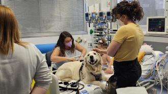 Un perro tumbado en la cama de un niño y varias personas alrededor
