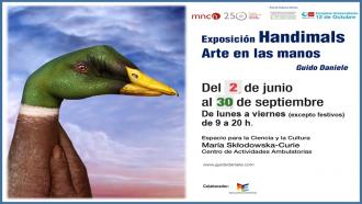 Cartel de la Exposición Handimals con un pájaro pintado