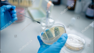 Enfermedad infecciosa prueba