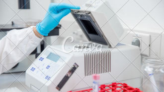 PCR prueba