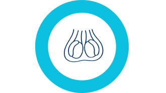 Icono de línea azul del escroto y dentro del círculo azul