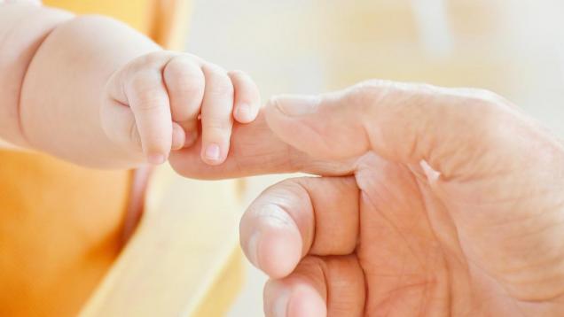 Mano de bebé coge dedo de mano de adulto