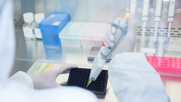 manos con guantes blancos pipeteando bajo una campana en laboratorio