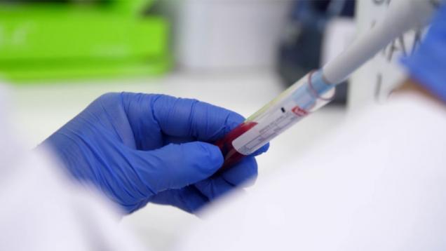 una mano con guante azul mete pipeta en un tuvo con sangre