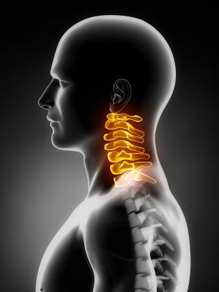 Columna cervical
